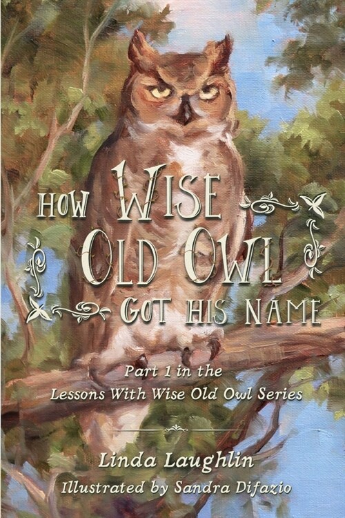 How Wise Old Owl Got His Name (Paperback)