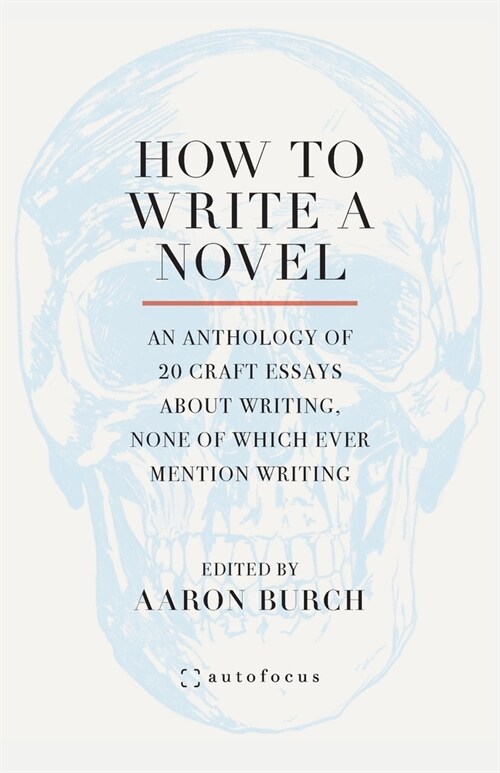 How to Write a Novel: An Anthology of 20 Craft Essays About Writing, None of Which Ever Mention Writing (Paperback)