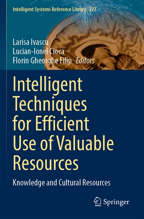 Intelligent Techniques for Efficient Use of Valuable Resources: Knowledge and Cultural Resources (Paperback, 2022)