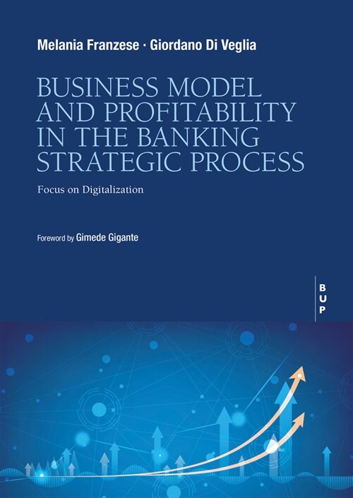 Business Model and Profitability in the Banking Strategic Process: Focus on Digitalization (Paperback)