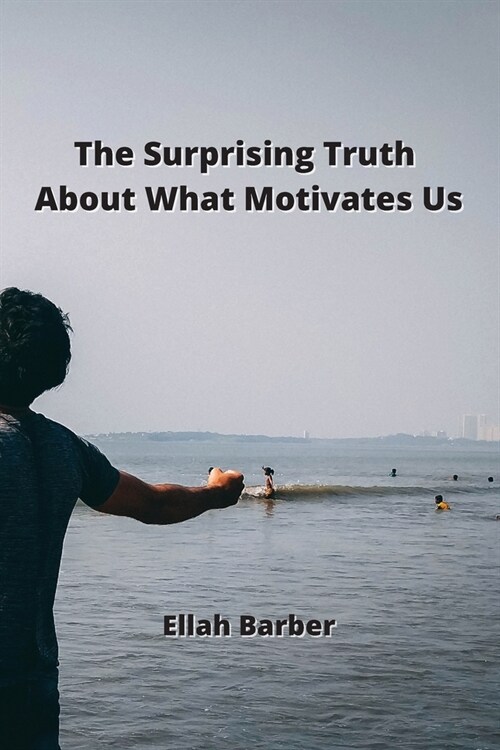 The Surprising Truth About What Motivates Us (Paperback)