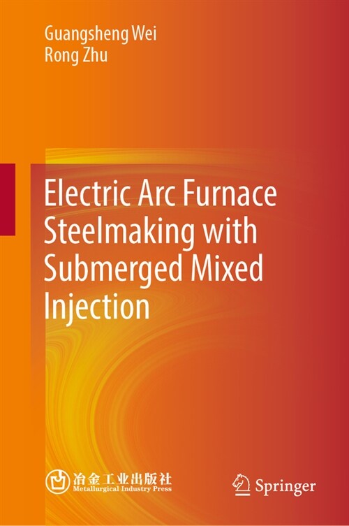 Electric ARC Furnace Steelmaking with Submerged Mixed Injection (Hardcover, 2024)