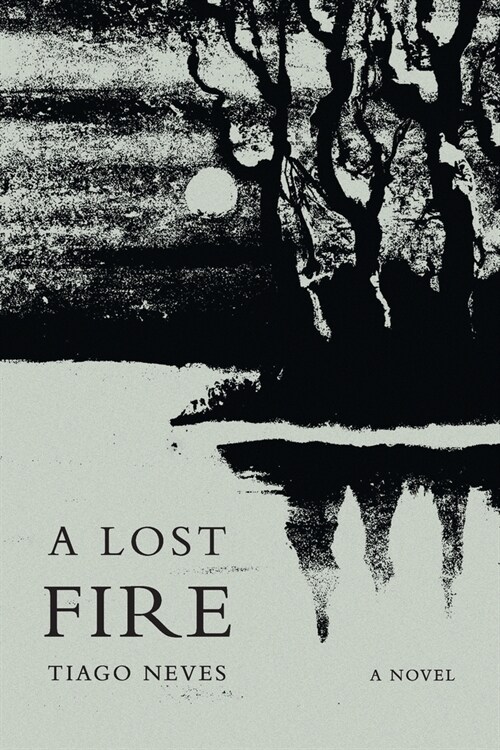 A Lost Fire (Paperback)