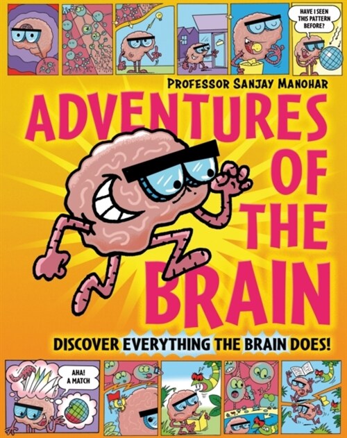 Adventures of the Brain : What the brain does and how it works (Hardcover)