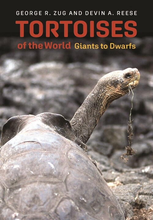 Tortoises of the World: Giants to Dwarfs (Hardcover)