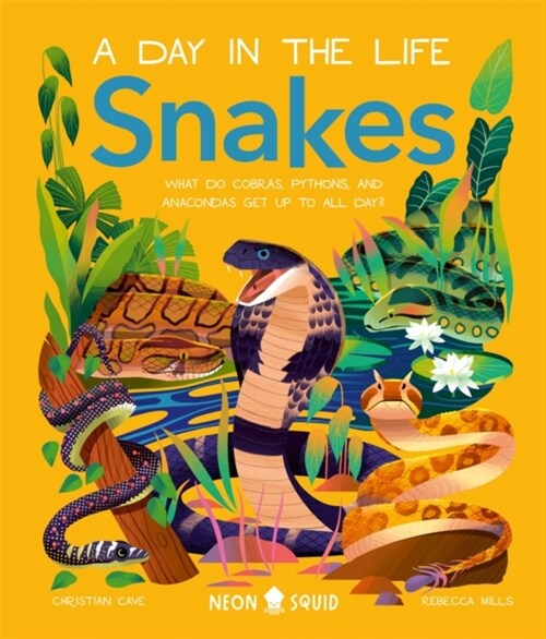 Snakes (A Day in the Life) : What Do Cobras, Pythons, and Anacondas Get Up to All Day? (Hardcover)