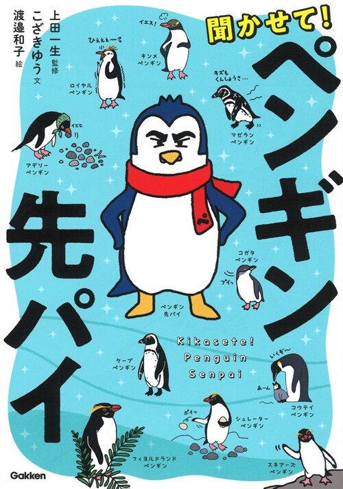 聞かせて!ペンギン先パイ