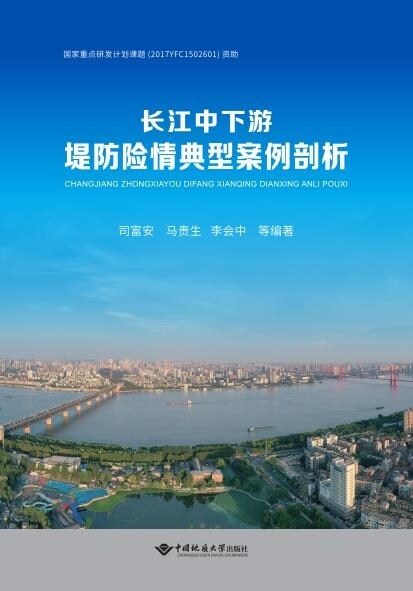 長江中下遊堤防險情典型案例剖析