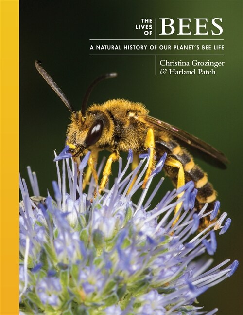 The Lives of Bees: A Natural History of Our Planets Bee Life (Hardcover)