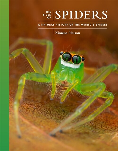 The Lives of Spiders: A Natural History of the Worlds Spiders (Hardcover)