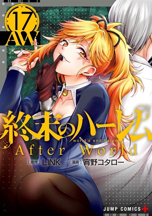 Worlds End Harem Vol. 17 - After World (Paperback)