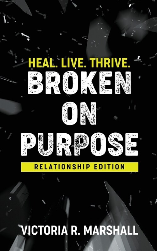 Broken On Purpose (Paperback)