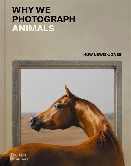 Why We Photograph Animals (Hardcover)