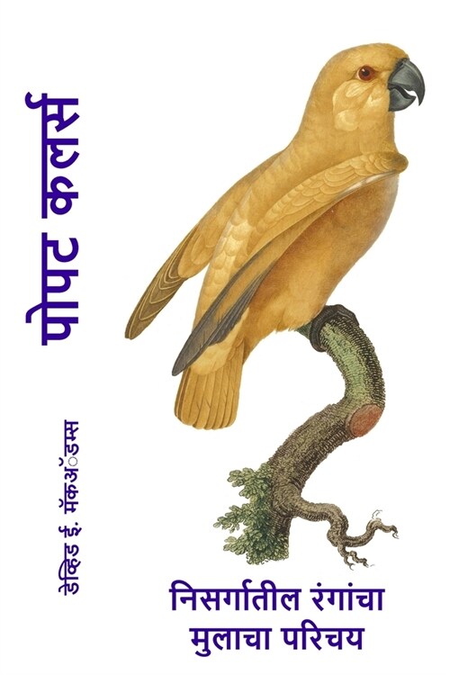 पोपट कलर्स: निसर्गातील रं (Paperback, 2)