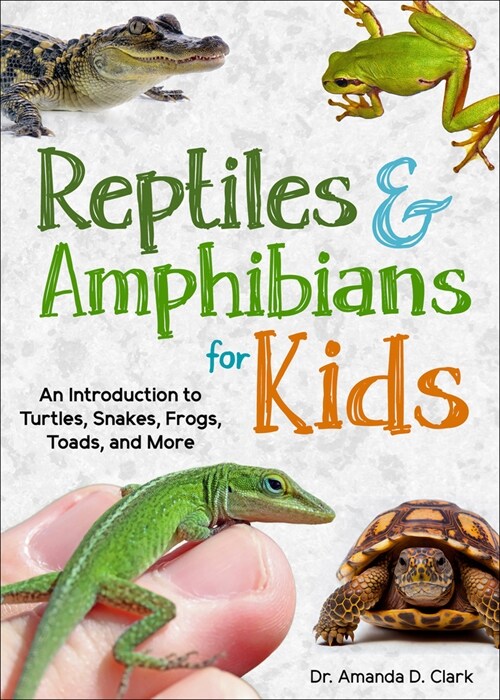 Reptiles & Amphibians for Kids: An Introduction to Turtles, Snakes, Frogs, Toads, and More (Paperback)