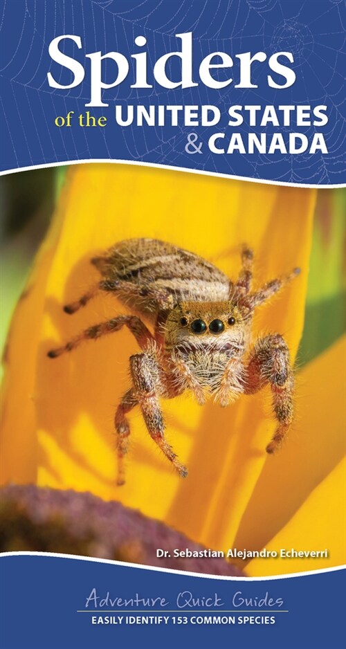 Spiders of the United States & Canada: Easily Identify 158 Common Species (Spiral)