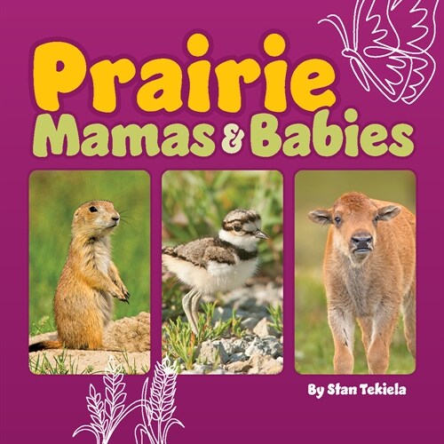 Prairie Mamas & Babies (Board Books)
