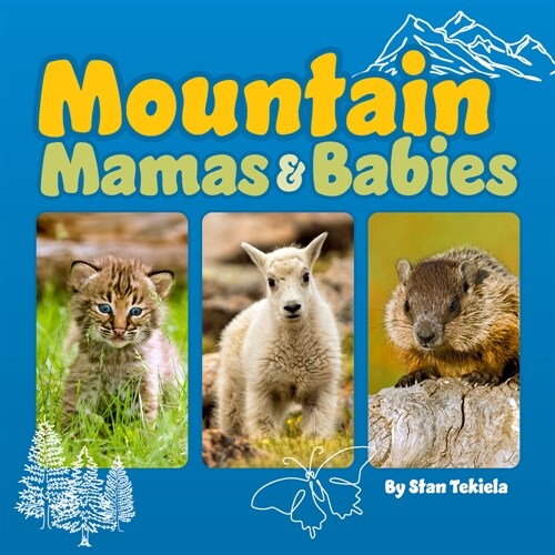 Mountain Mamas & Babies (Board Books)