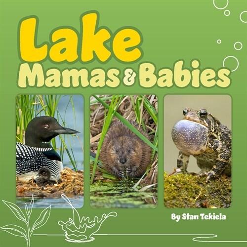 Lake Mamas & Babies (Board Books)