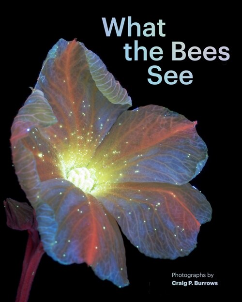 What the Bees See: A Honeybees Eye View of the World (Hardcover)
