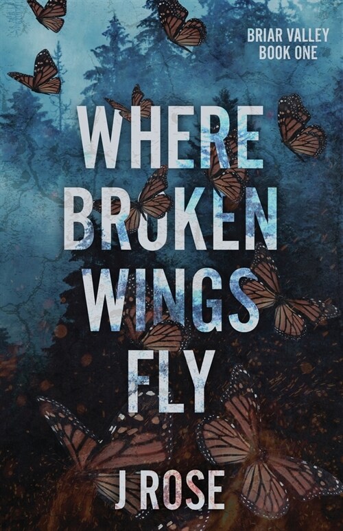 Where Broken Wings Fly (Paperback)