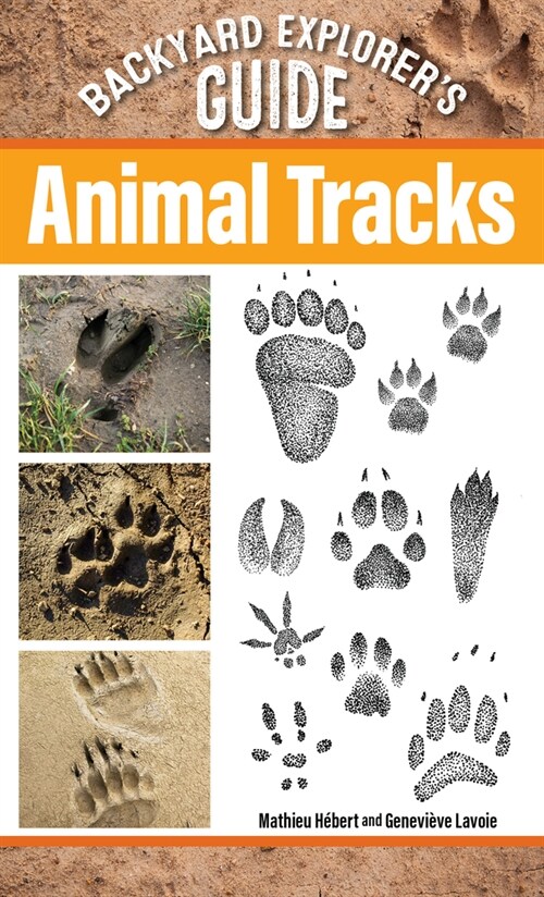 Backyard Explorers Guide Animal: Tracks (Paperback)