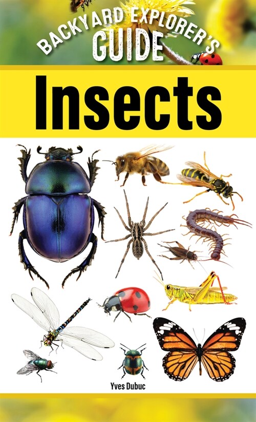 Backyard Explorers Guide: Insects (Paperback)