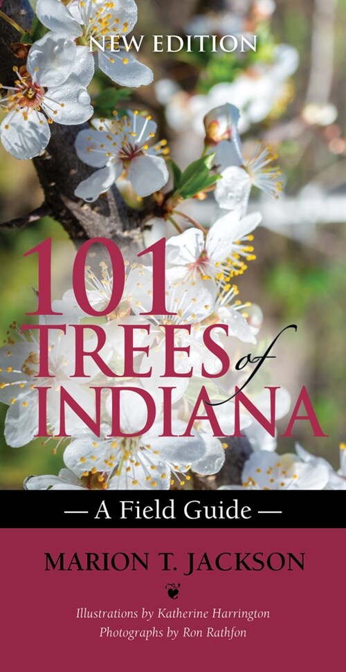 101 Trees of Indiana: A Field Guide (Paperback)