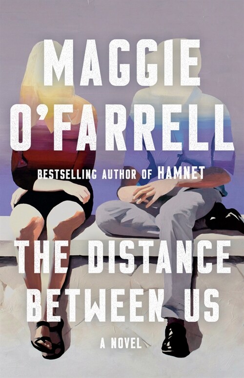 The Distance Between Us (Paperback)