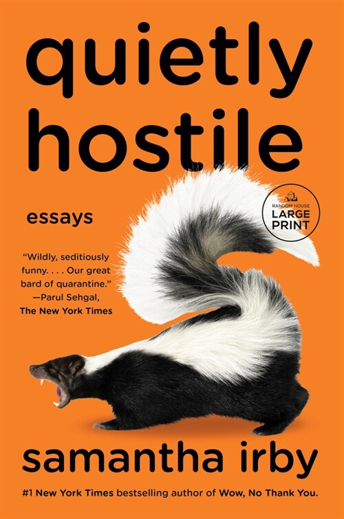 Quietly Hostile: Essays (Paperback)