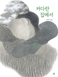 커다란 집에서 :김선남 그림책 