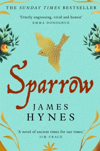 Sparrow : The Sunday Times Top Ten Bestseller (Paperback)