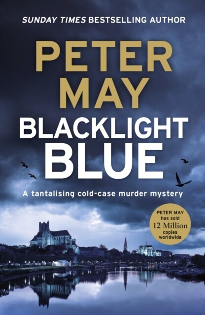 Blacklight Blue : A suspenseful, race against time to crack a cold-case (The Enzo Files Book 3) (Paperback)