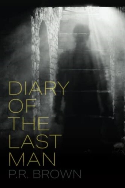 Diary of the Last Man (Paperback)