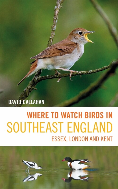 Where to Watch Birds in Southeast England : Essex, London and Kent (Paperback)