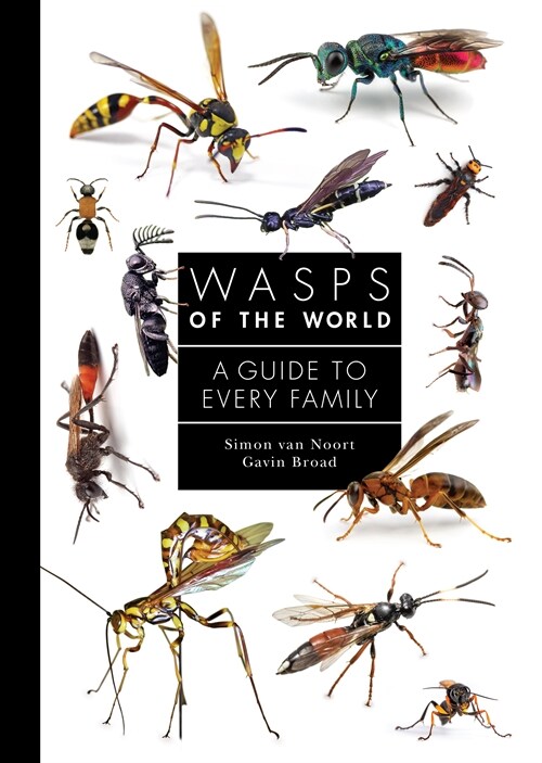 Wasps of the World: A Guide to Every Family (Hardcover)