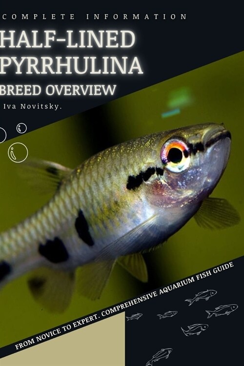 Half-lined Pyrrhulina: From Novice to Expert. Comprehensive Aquarium Fish Guide (Paperback)