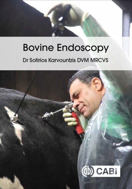 Bovine Endoscopy (Paperback)