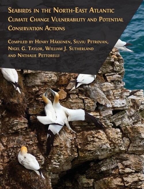 Seabirds in the North-East Atlantic (Paperback)