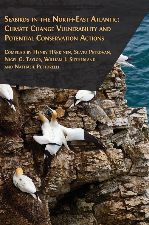 Seabirds in the North-East Atlantic (Hardcover)