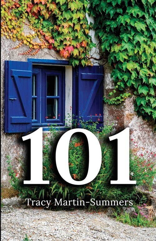 101 (Paperback)