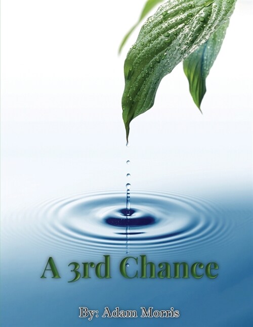 A 3rd Chance (Paperback)