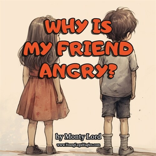 Why Is My Friend Angry? (Paperback)