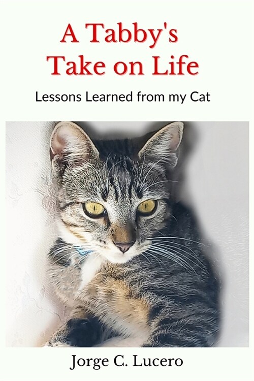 A Tabbys Take on Life: Lessons learned from my cat (Paperback)