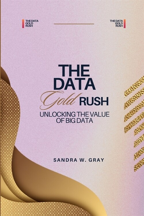 The Data Gold Rush: Unlocking the Value of Big Data (Paperback)