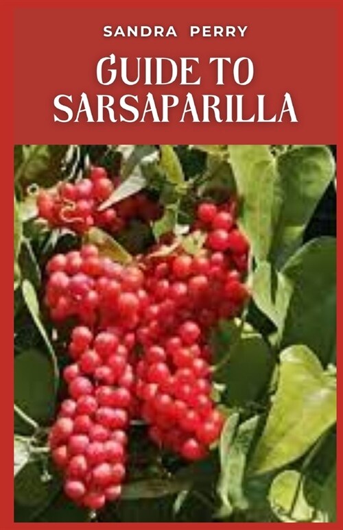 Guide to Sarsaparilla: Sarsaparilla is a tropical plant from the genus Smilax. (Paperback)