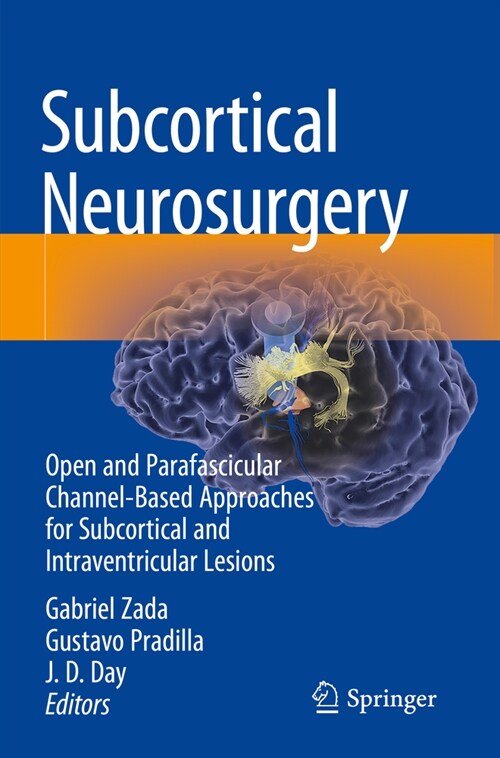 Subcortical Neurosurgery: Open and Parafascicular Channel-Based Approaches for Subcortical and Intraventricular Lesions (Paperback, 2022)