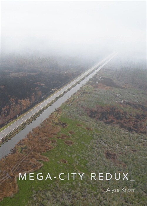 Mega-City Redux (Paperback)