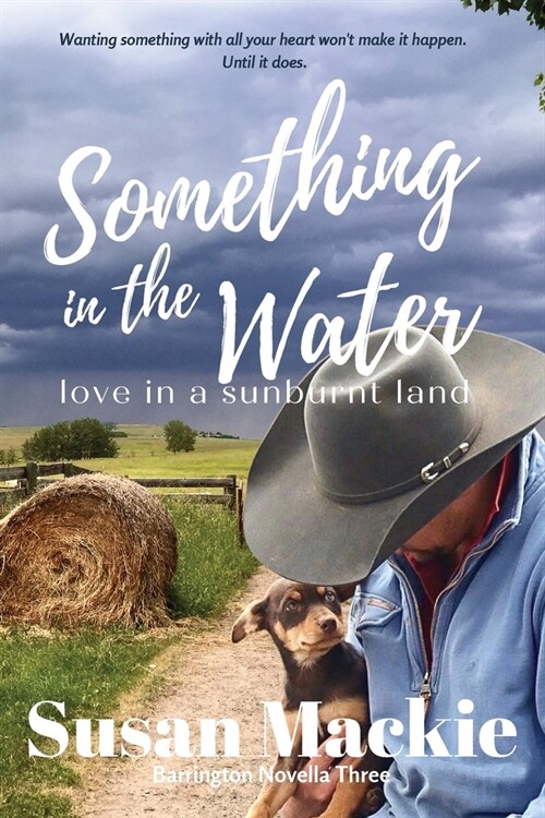 Something in the Water: Love in a Sunburnt Land (Paperback)