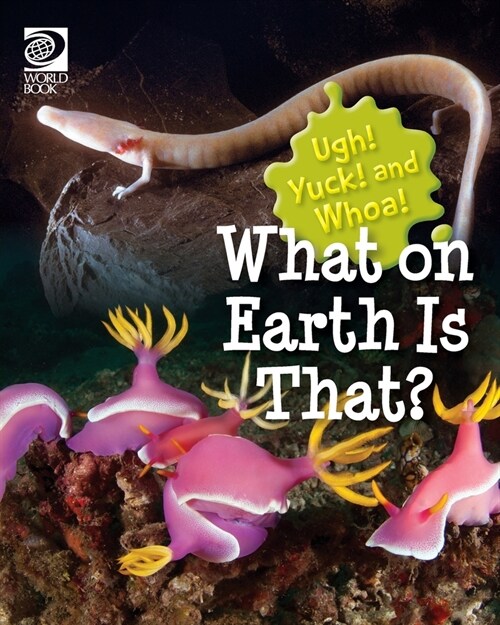 What on Earth Is That? (Paperback)